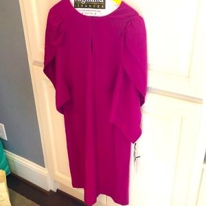 Worth Dress - Raspberry - NWT